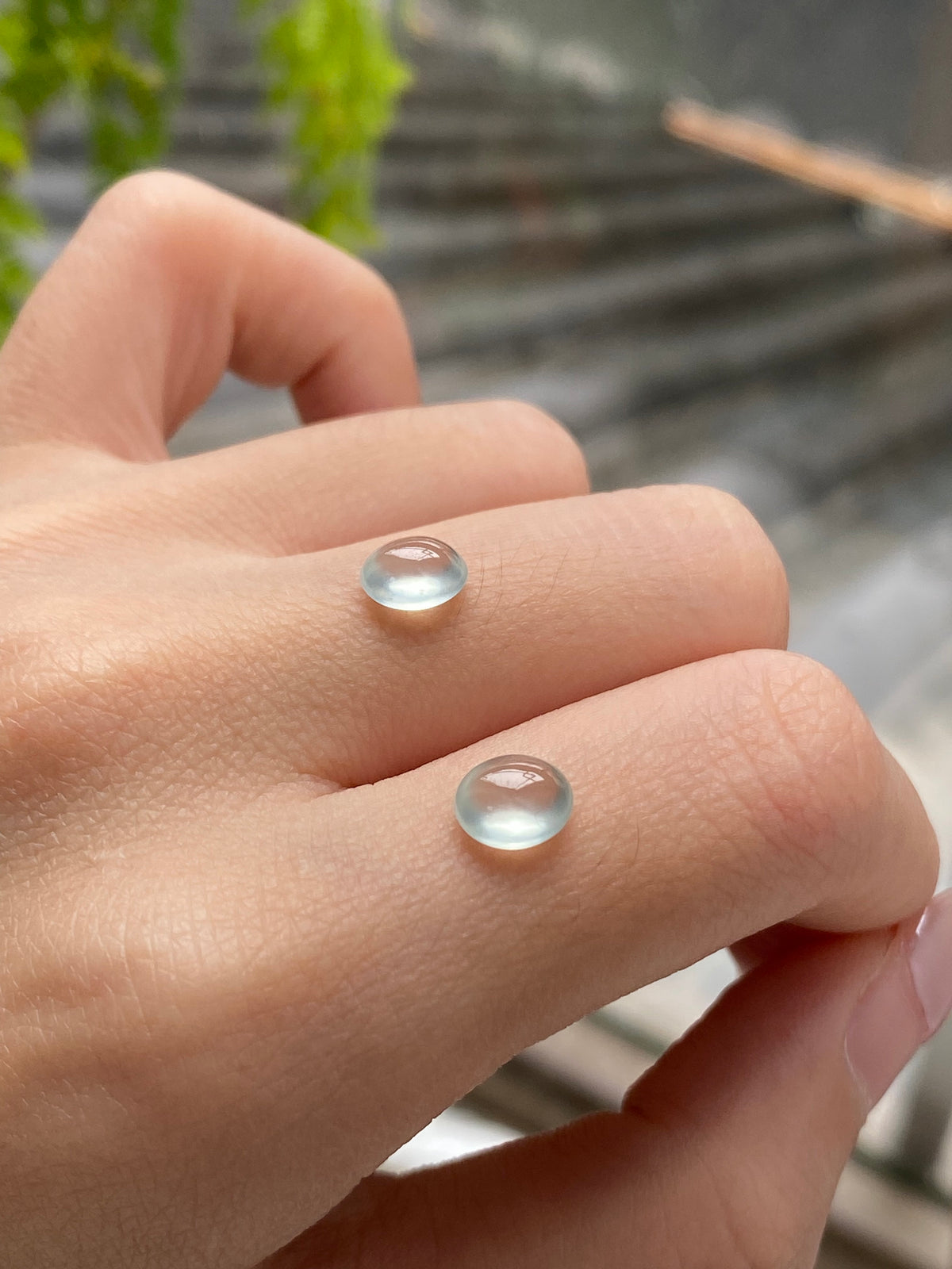 Round light jadeite cabochon pair, unmounted, domed blue-gray on fingertips