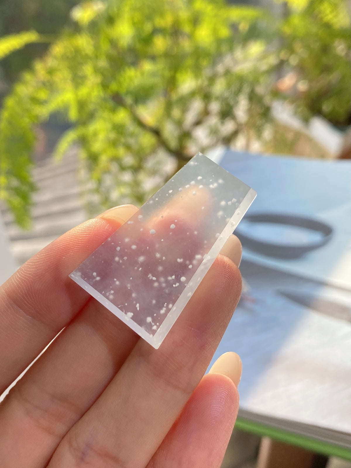 Jadeite rough stone tablet with speckled inclusions, held outdoors in sunlight